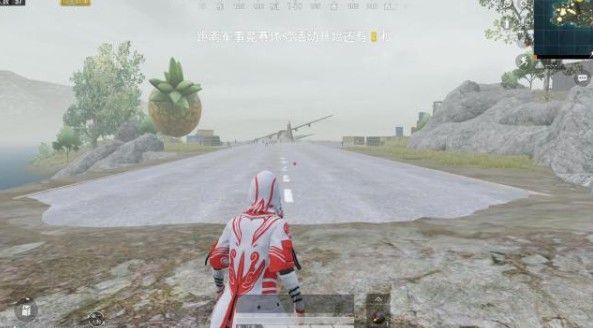 和平精英小鸟手雷怎么获得？小鸟手雷效果一览[多图]图片4