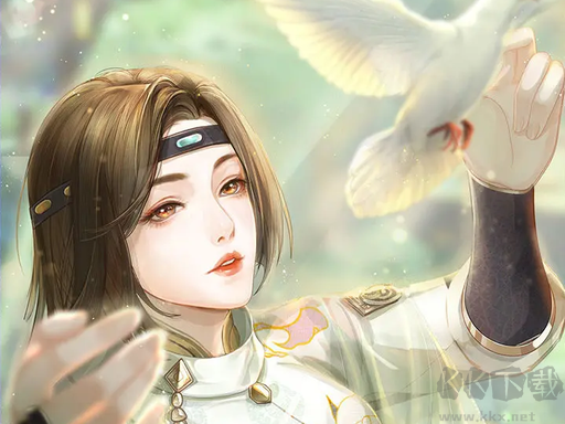 代号花神