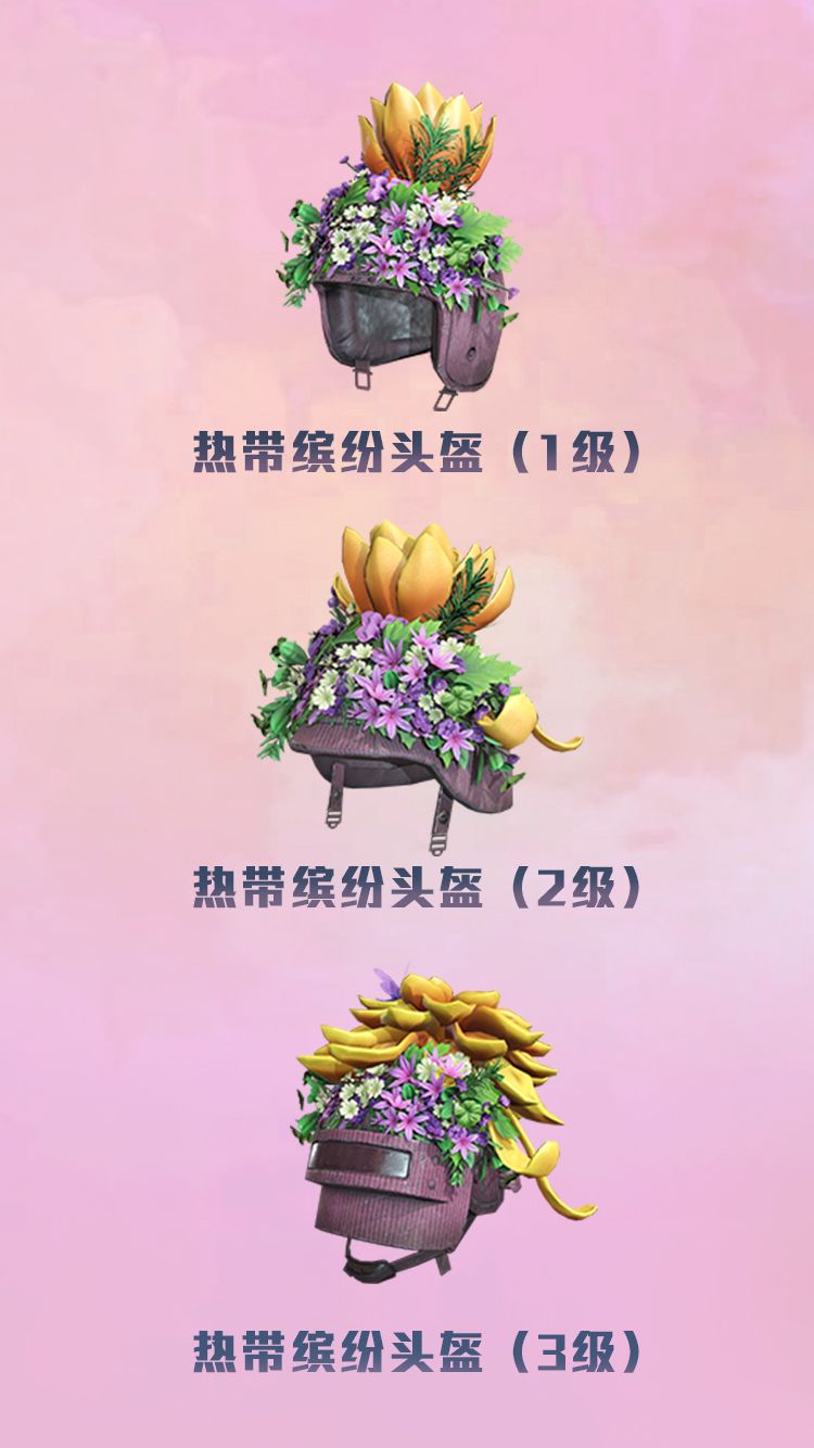 和平精英热带缤纷头盔怎么获得？热带缤纷头盔获取方法介绍[多图]图片2