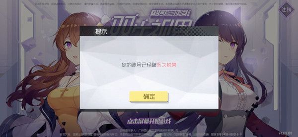 双生视界初始号被封怎么回事？初始号被封原因解析[多图]图片2
