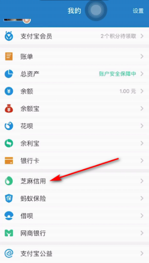支付宝信用购怎么用 支付宝信用购开通方法