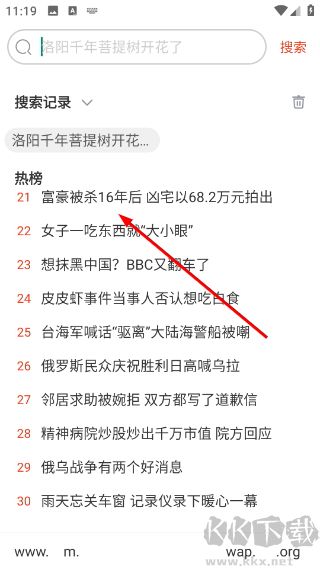 土豆浏览器