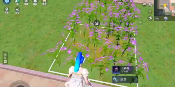 和平精英花圃种子在哪买的 花圃种子获得方法介绍